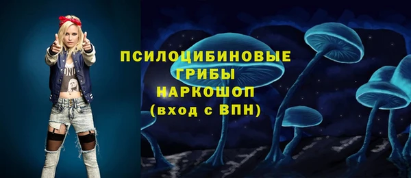 мяу мяу мука Белокуриха