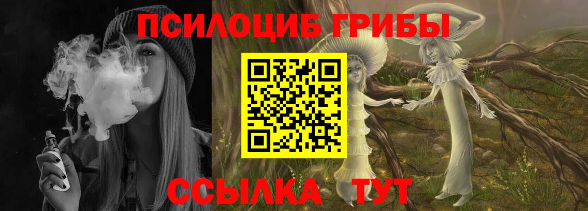 Кунгур  Псилоцибиновые грибы прущие грибы  Псилоцибиновые грибы GOLDEN TEACHER  Вход с VPN 