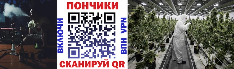 магазин продажи   Кунгур  kraken сайт  МАРИХУАНА OG Kush 